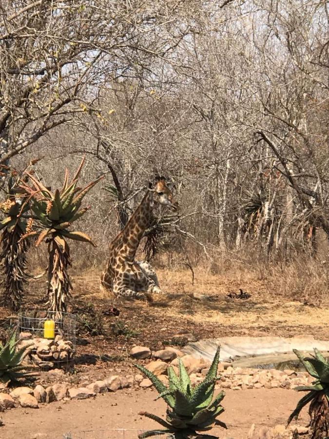 Lituba Place * Marloth Park